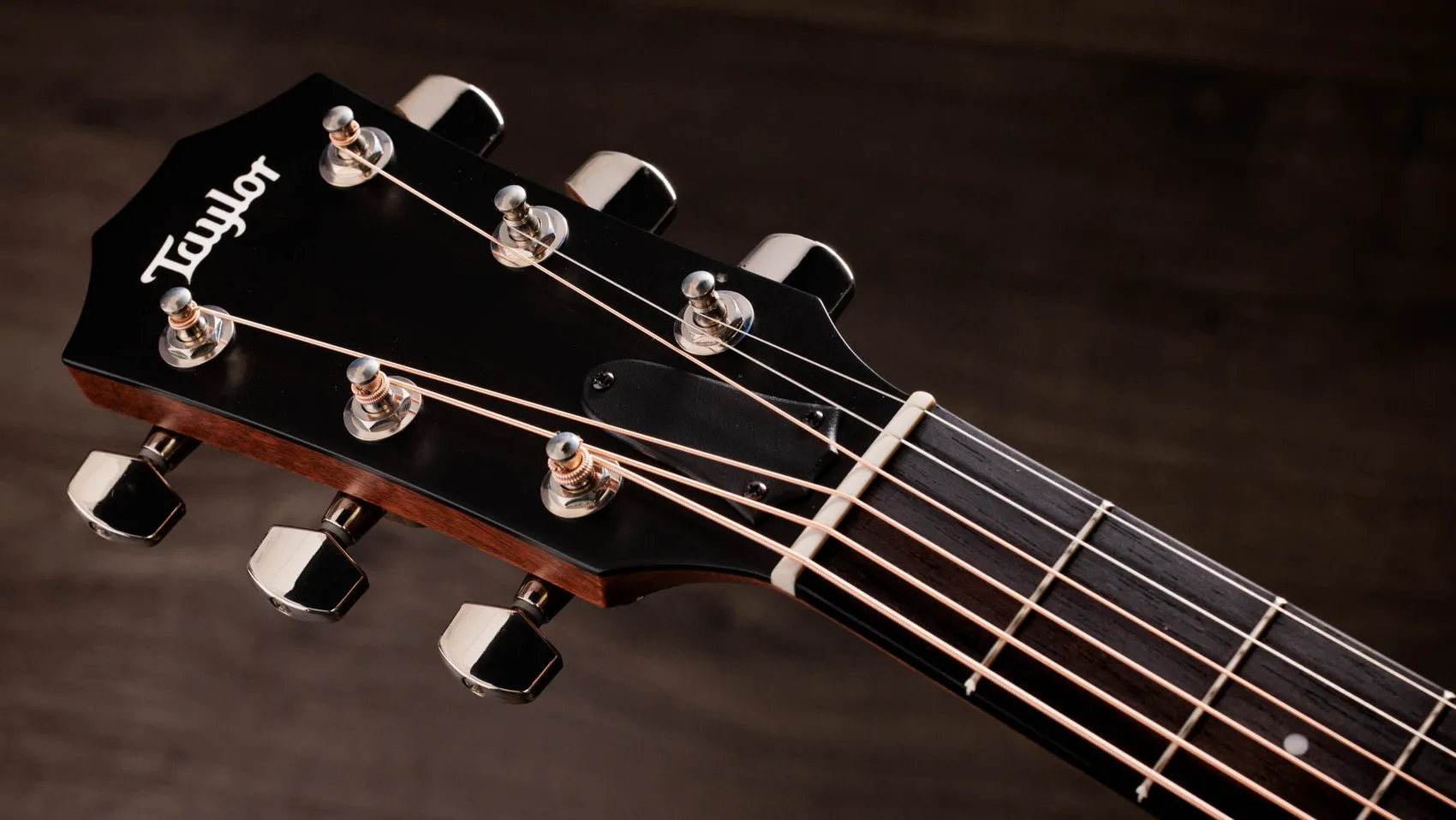 インディアン・ローズウッド・アコースティック・エレクトリックギター