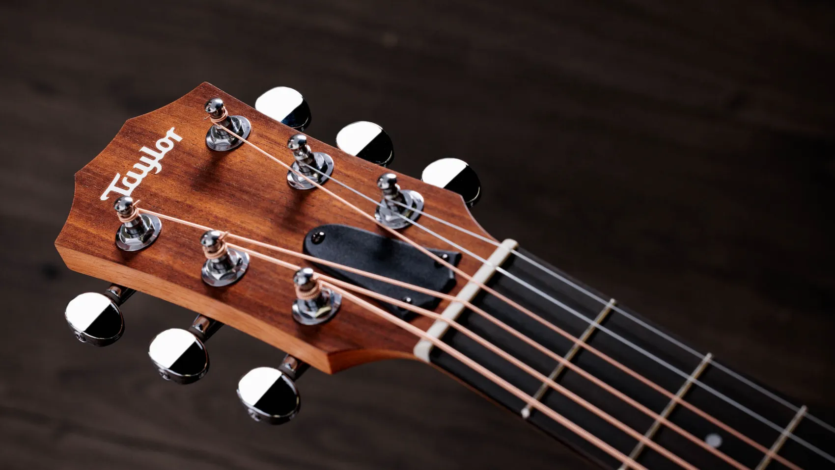 GS Mini レイヤード・サペリ アコースティックギター (2024) | Taylor