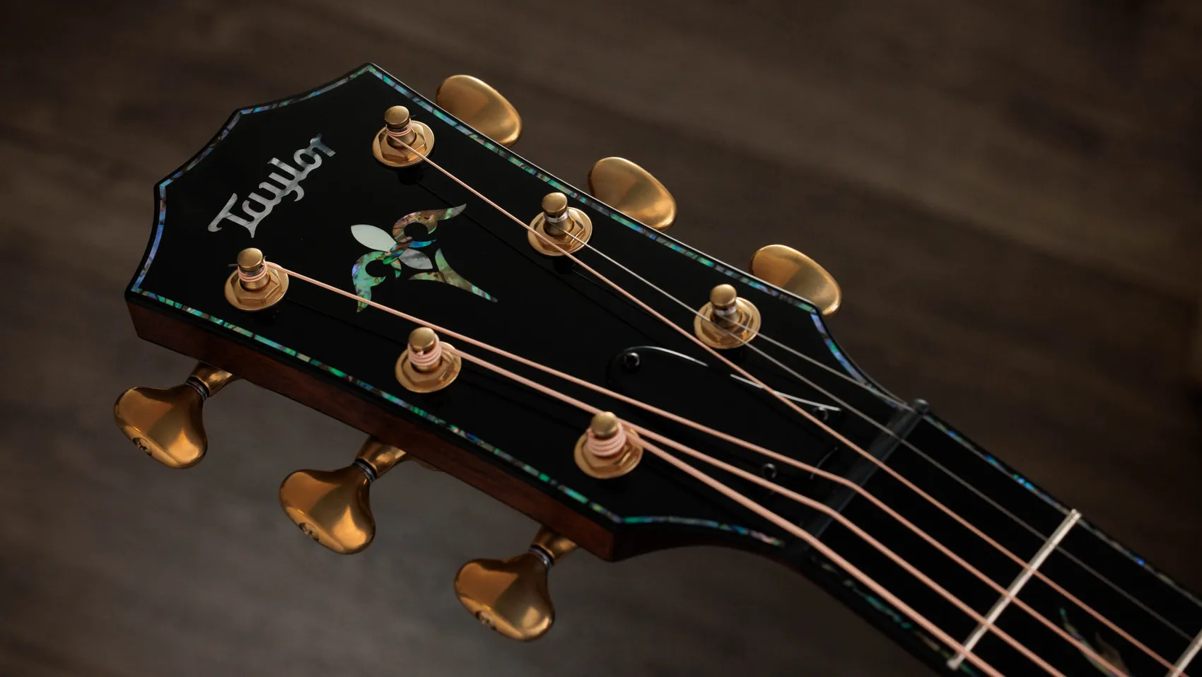 PS14ce Ironbark/Sinker Redwood Red Ironbark アコースティック