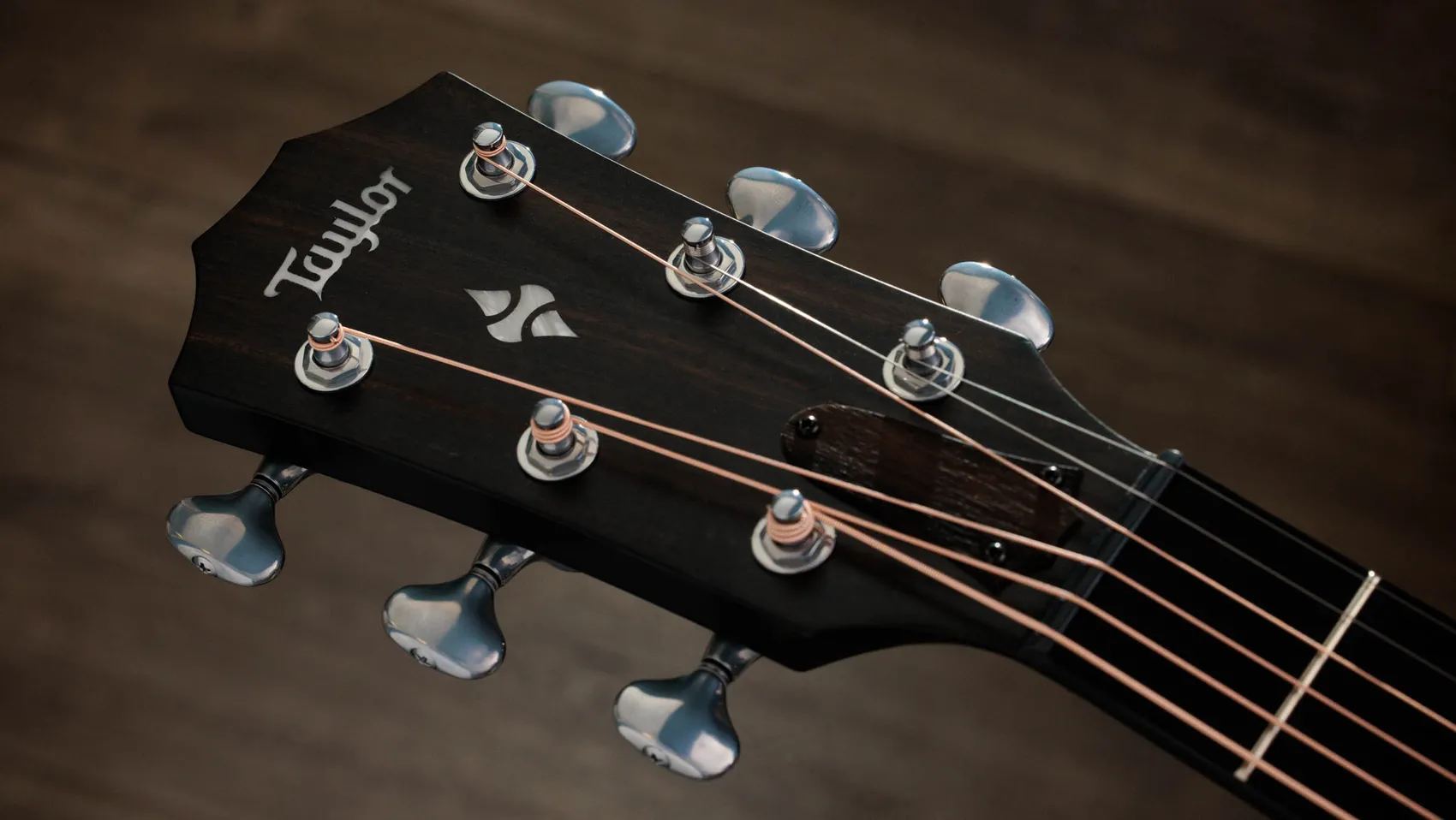 ビルダーズ・エディション 514ce シャメル・アッシュ アコースティック