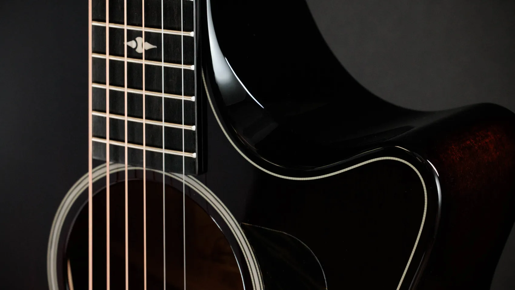 Builder's Edition 524ceシャメル・アッシュ アコースティック