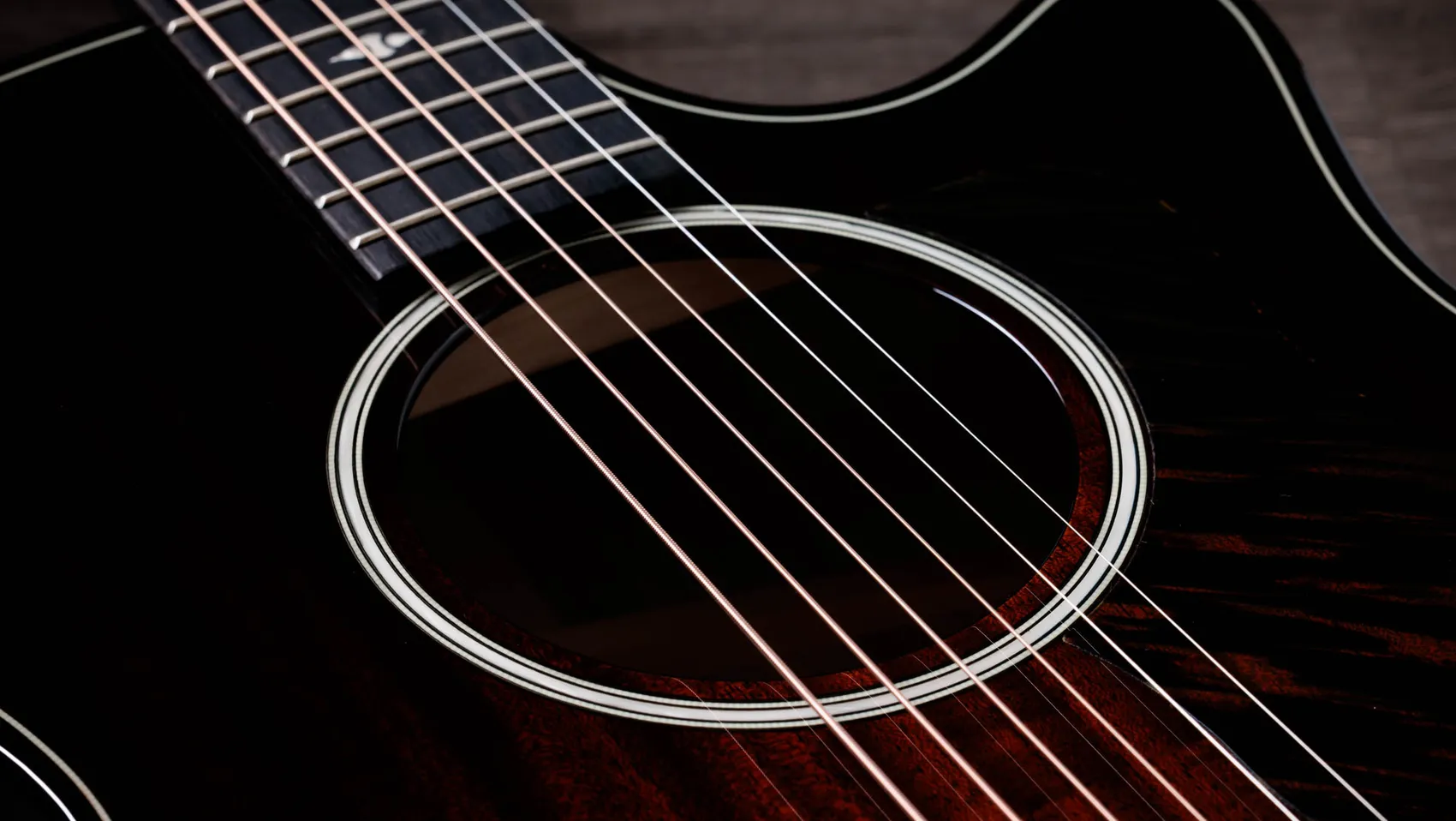 ビルダーズ・エディション 524ce シャメル・アッシュ アコースティック