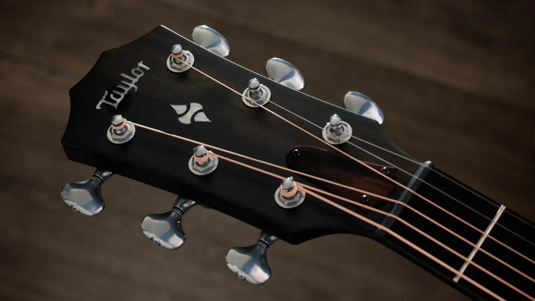 ビルダーズ・エディション 524ce シャメル・アッシュ アコースティック