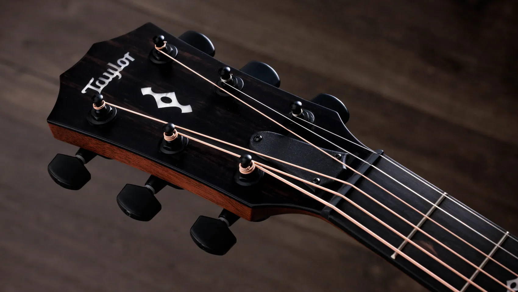 次世代324ceSapeleアコースティックエレクトリックギター | Taylor Guitars
