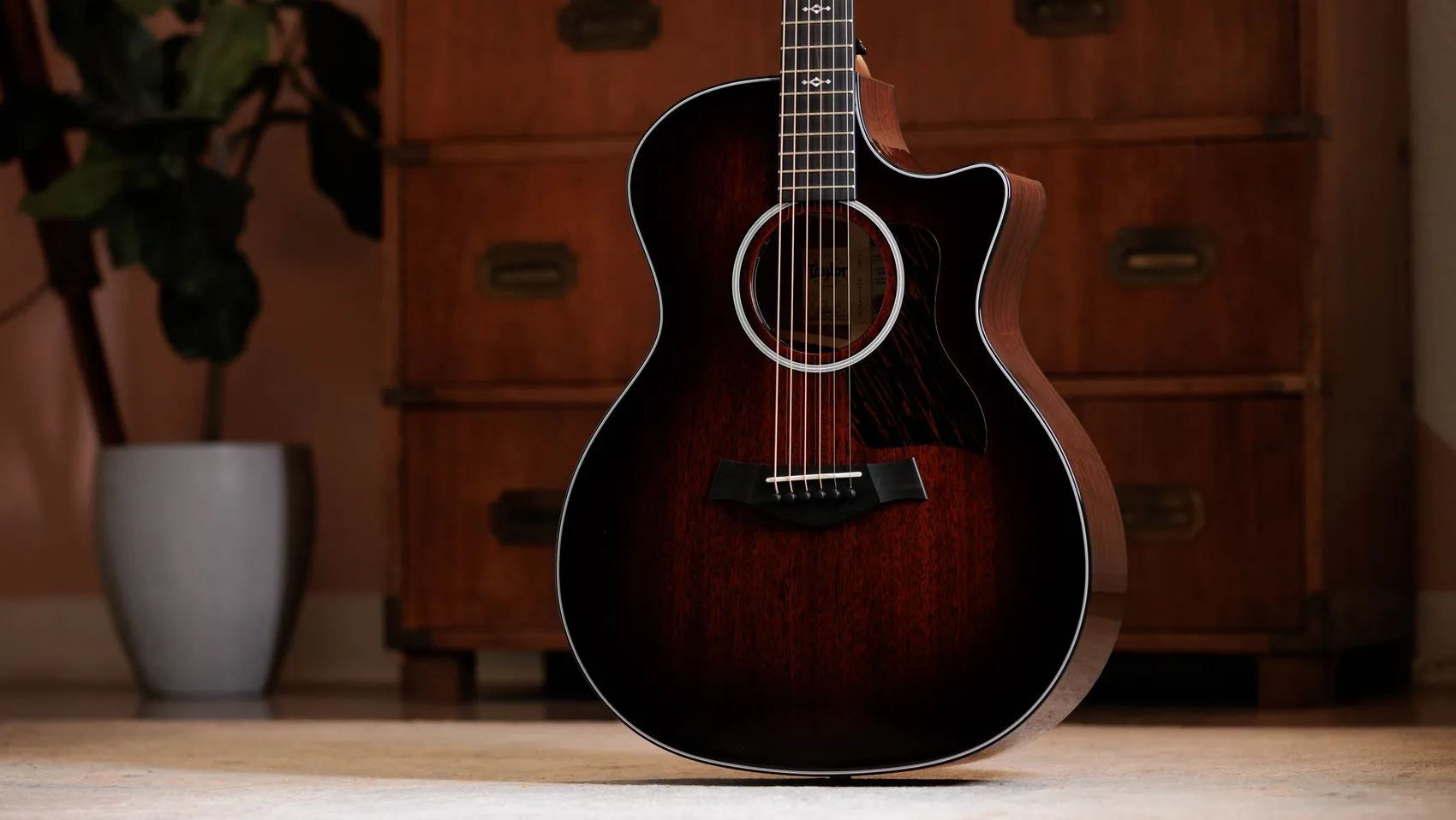 次世代324ceSapeleアコースティックエレクトリックギター | Taylor Guitars