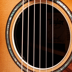 _RAW-Desktop-Taylor-80702.jpg?