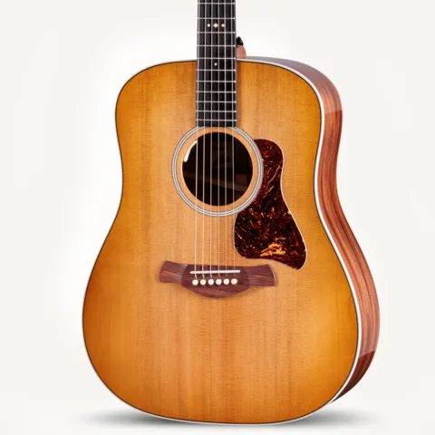 ドレッドノート・アコースティックギターの形状 | Taylor Guitars