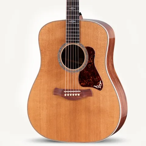 Gold Label 810e