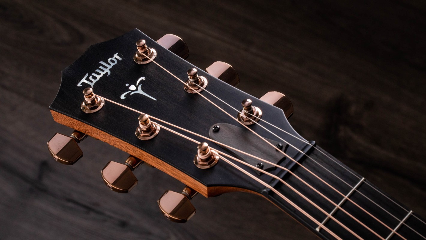 とにーTaylor アコースティックギター エレクトリック搭載 700 Series アコースティックギター | Taylor Guitars