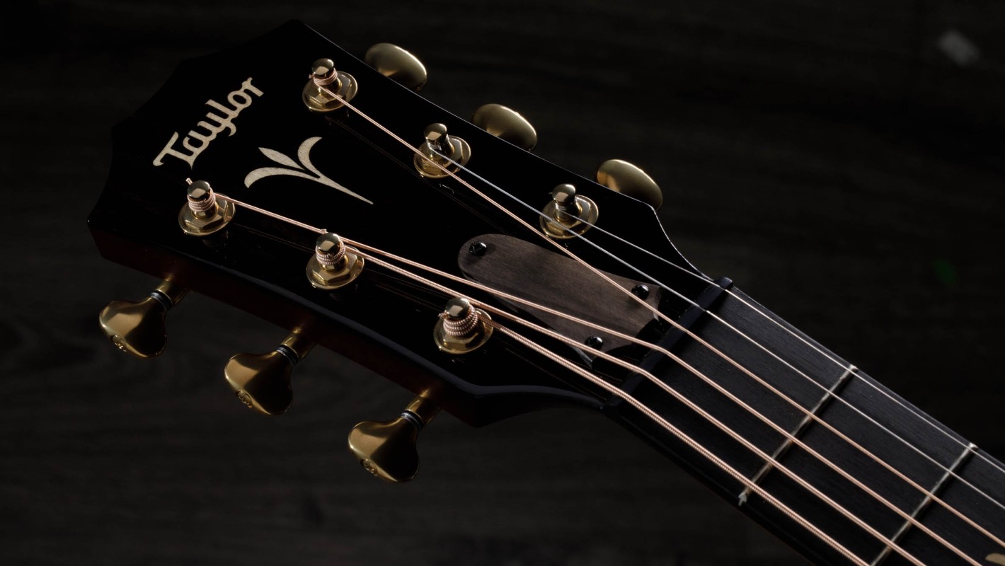 Taylor エレクトリックアコースティックギター ブラック アコースティックギター | Taylor Guitars