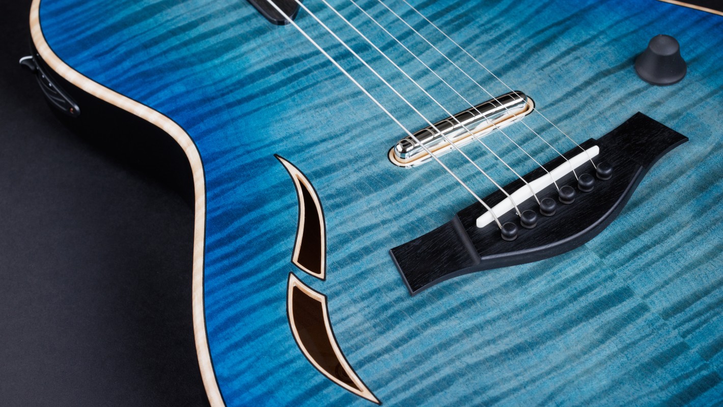 【2024年2月購入・ほぼ新品】Taylor GTe 811e Taylor 811e GT - New Grand Theater from Taylor Guitars