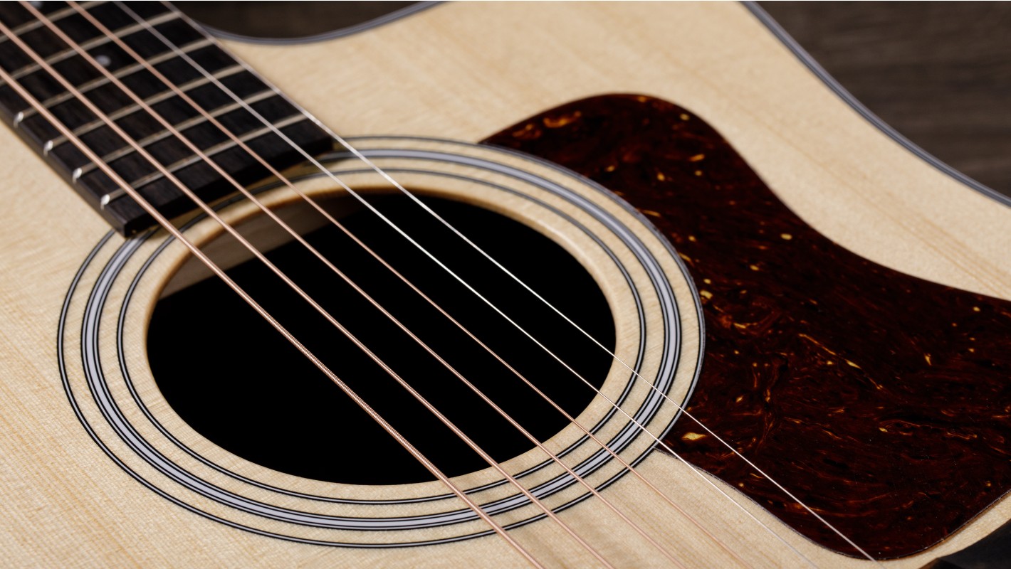 210ce Layered Rosewood Acoustic-Electric Guitar | Taylor Guitars