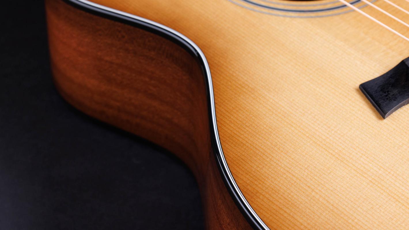 ギター Taylor 314ce Limited Edition Japan image.jpg