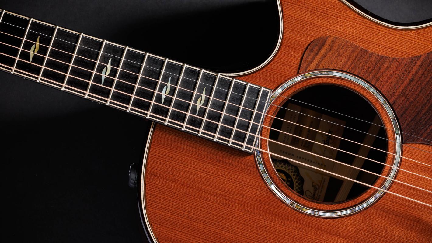 Taylor 814ce アコースティックギター ハードケース付 Taylor 814ce テイラー 【 錦糸町パルコ店 】 | 島村楽器