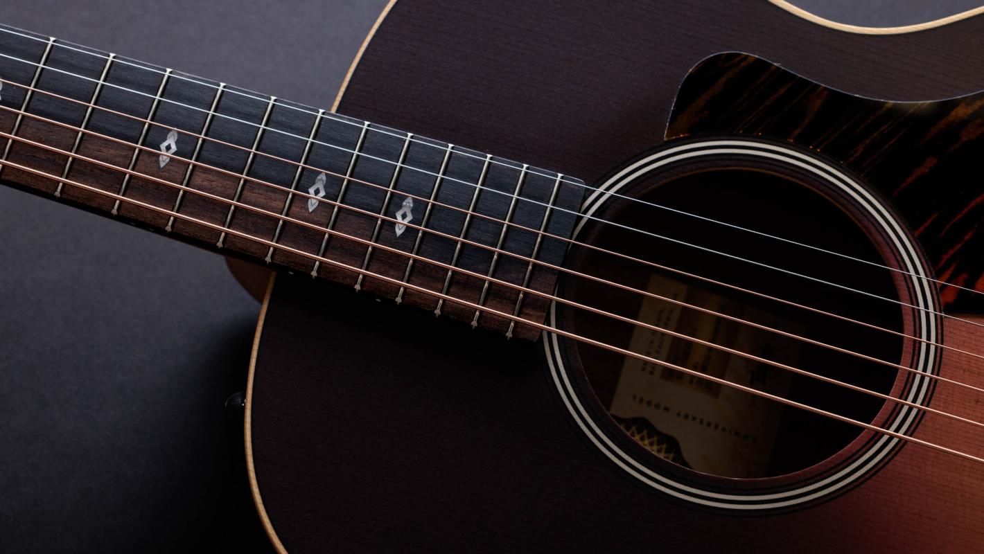50th Anniversary GS Mini-e Rosewood SB LTDIndian Rosewood
