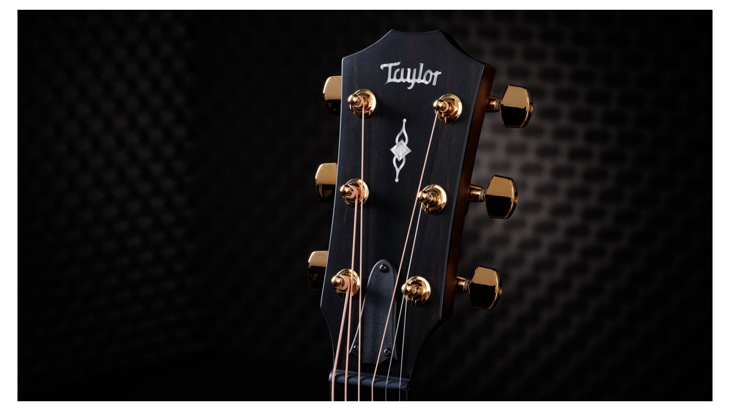 50th Anniversary 312ce LTD サペリ アコースティック
