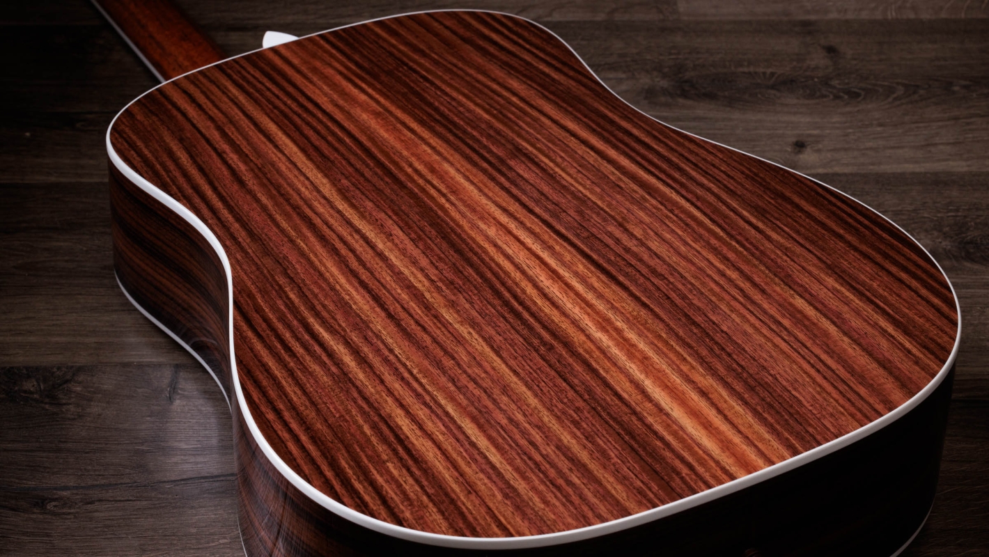 レガシー 810e インディアン・ローズウッド アコースティック