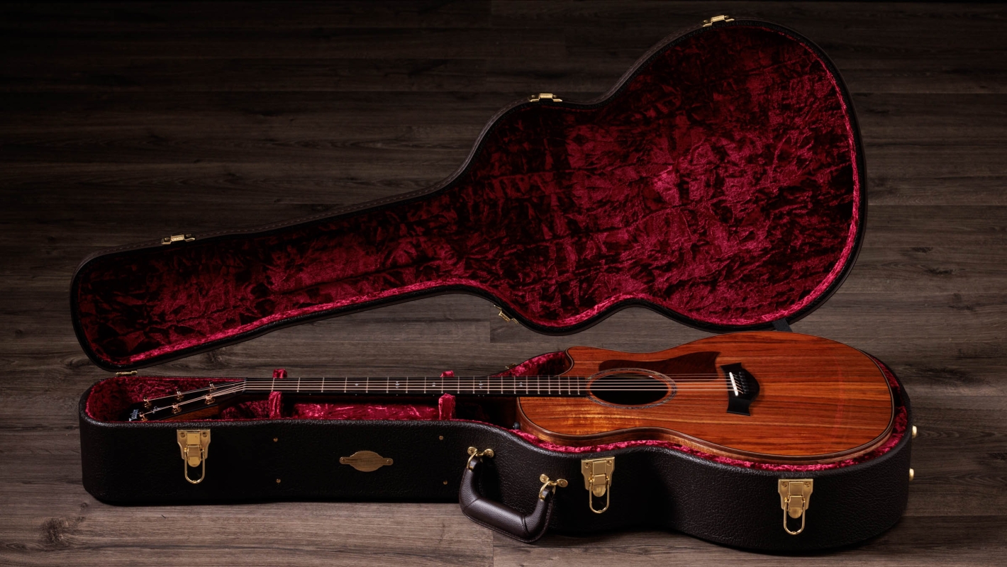 2024年の新アコースティックギター | Taylor Guitars