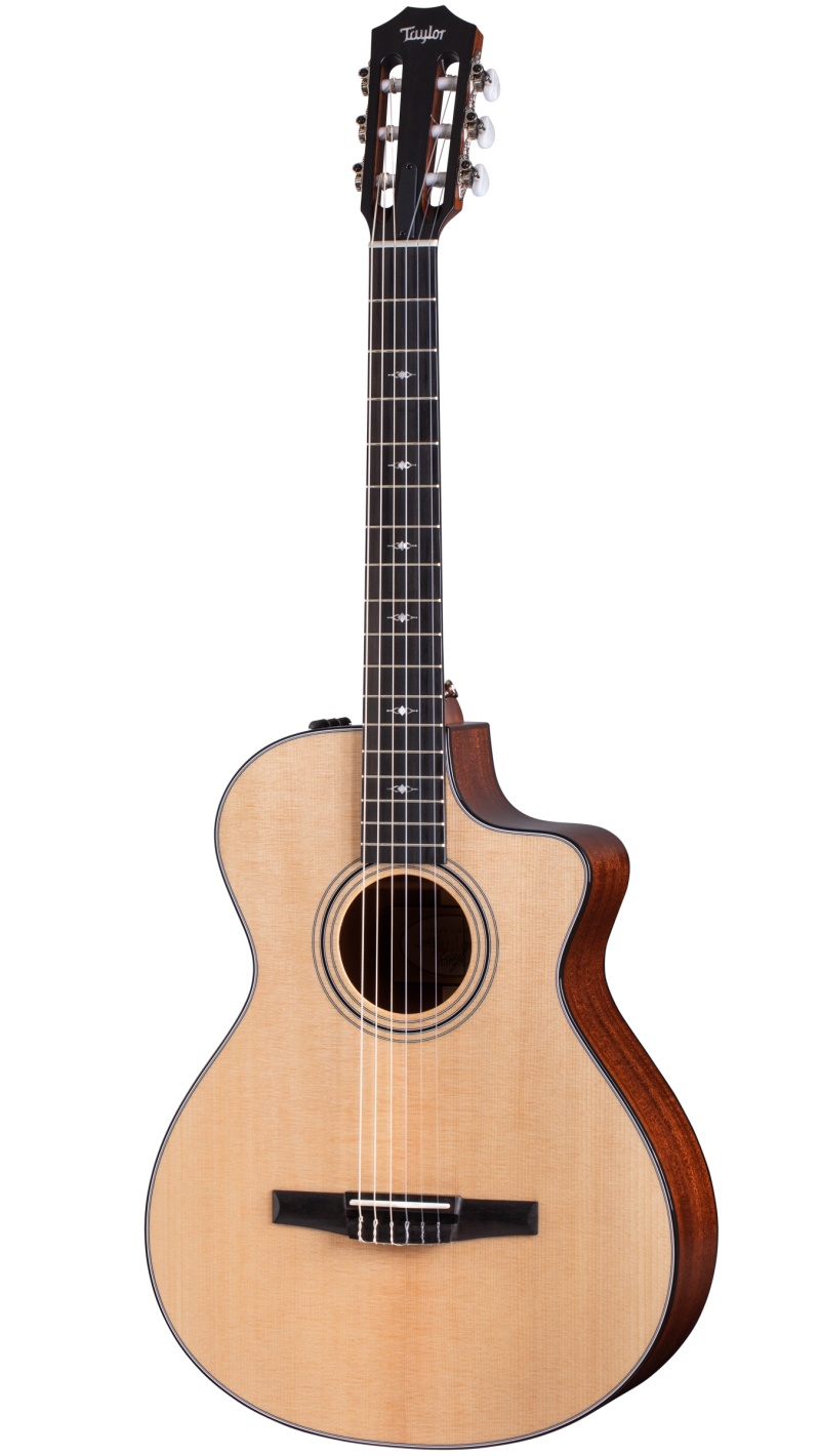 312ce-NSapeleアコースティック エレクトリック ギター | Taylor 312ce-NSapeleアコースティック エレクトリック ギター | Taylor