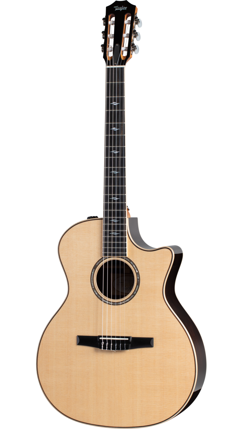 814ce-N Indian Rosewood Acoustic-Electric Guitar | Taylor Guitars