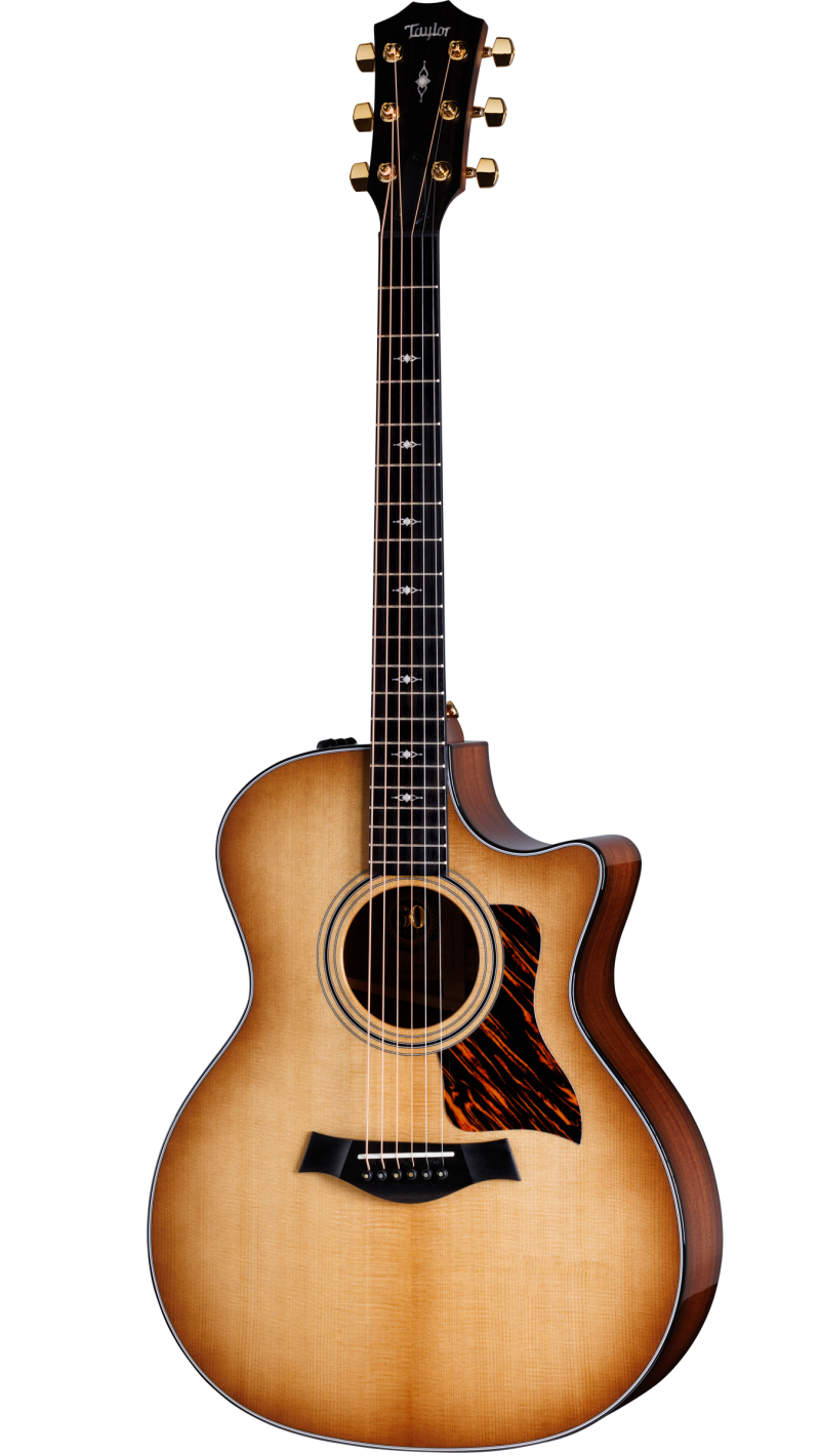 Taylor 214ce 2012年製 ES1 エレアコ Taylor 214ce 2012年製 ES1 エレアコ Taylor 214ce 2012年製 ES1