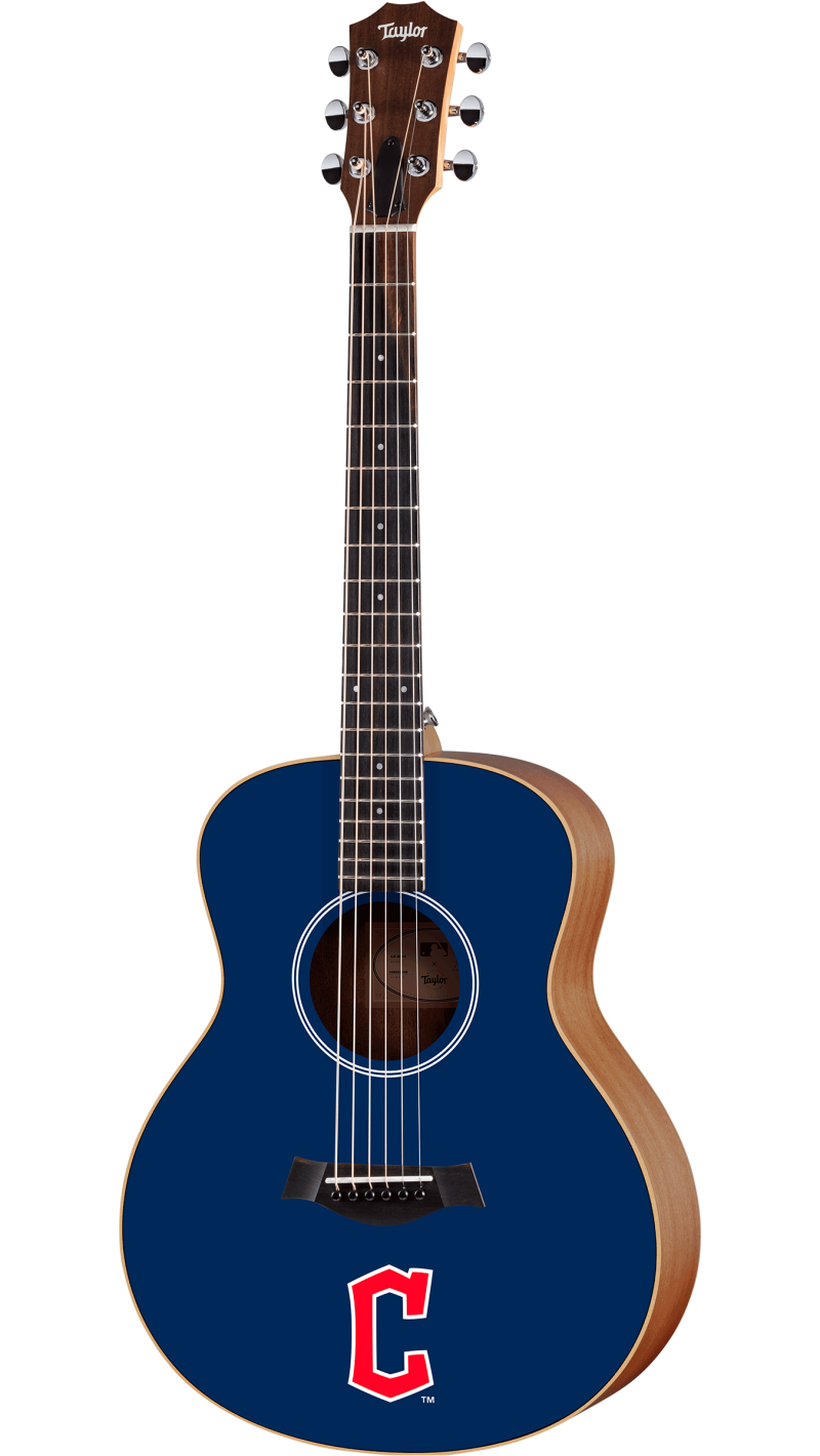 Taylor Guitars
