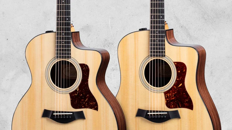 とにーTaylor アコースティックギター エレクトリック搭載 とにーTaylor アコースティックギター エレクトリック搭載 Taylor