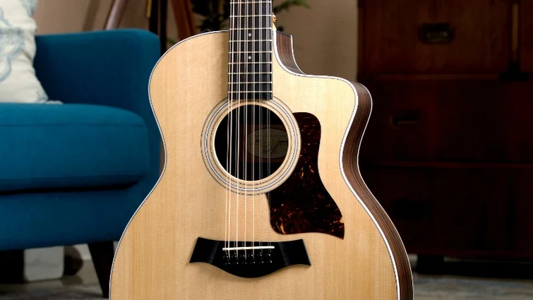 アコースティックギター200シリーズ | Taylor Guitars