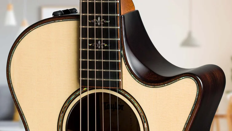 900 Series アコースティックギター | Taylor Guitars