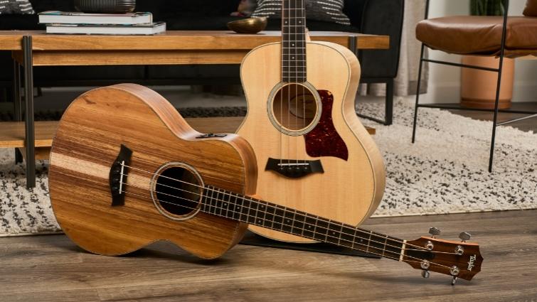 Acoustic Basses and Aesthetic Upgrades