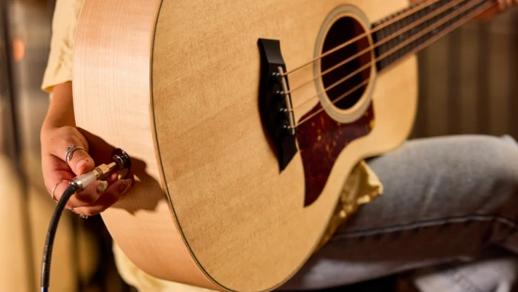 Available with ES-B Electronics and Digital Tuner