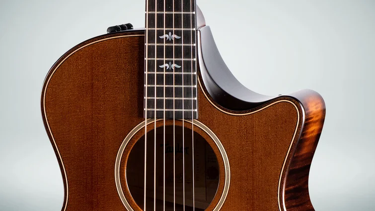 テイラーのギター814ceの案内 Builder's Edition 814ce Indian Rosewood Acoustic-Electric Guitar
