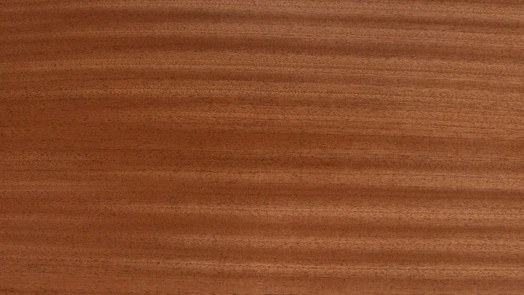 Taylor Swift Baby Taylor (TSBT) レイヤード・サペリ