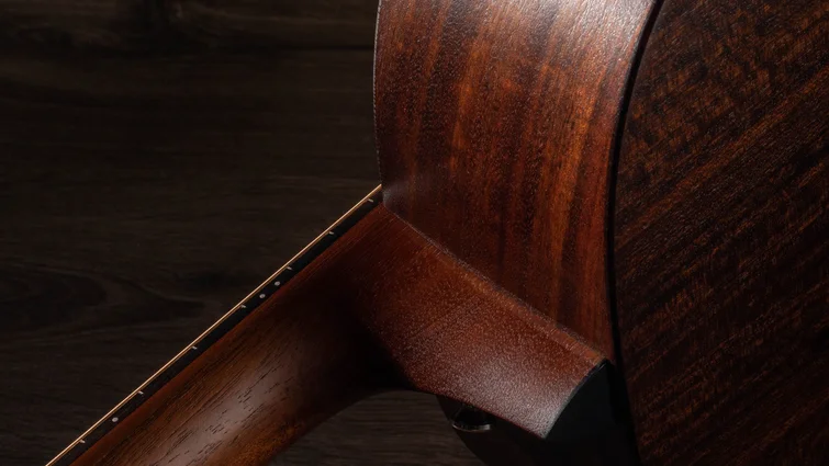 Taylor Swift Baby Taylor (TSBT) レイヤード・サペリ