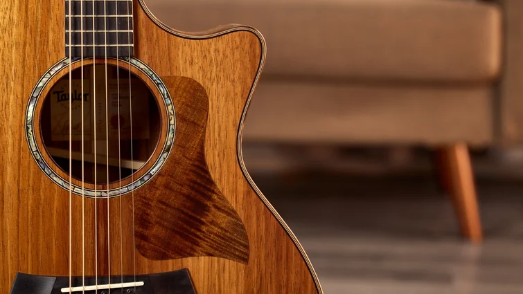 700 Series アコースティックギター | Taylor Guitars