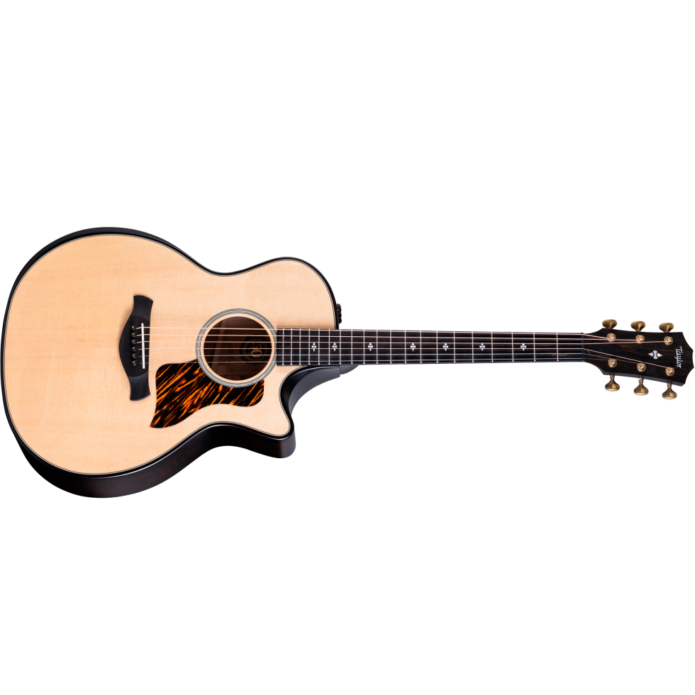 ギター Taylor 314ce Limited Edition Japan 50th Anniversary 314ce LTD | 【クロサワ楽器店オンライン