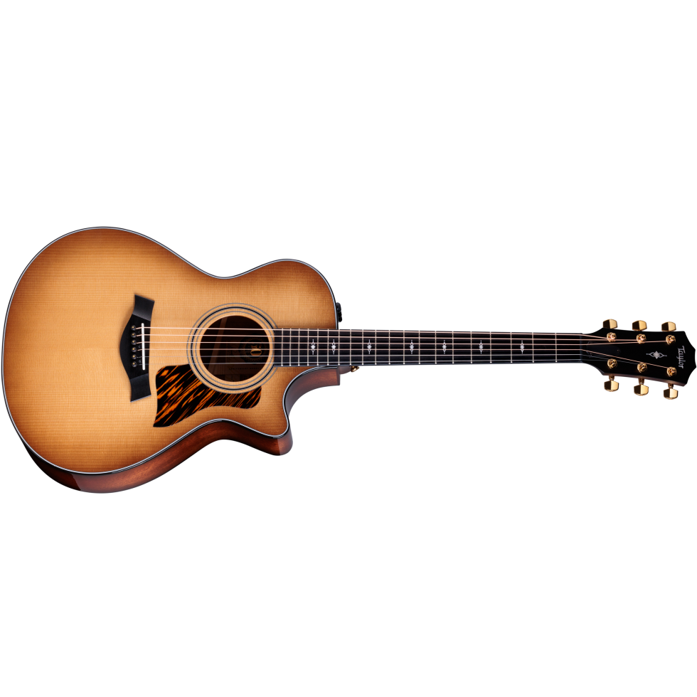 Taylor 150e12弦 アコースティックギター 美品