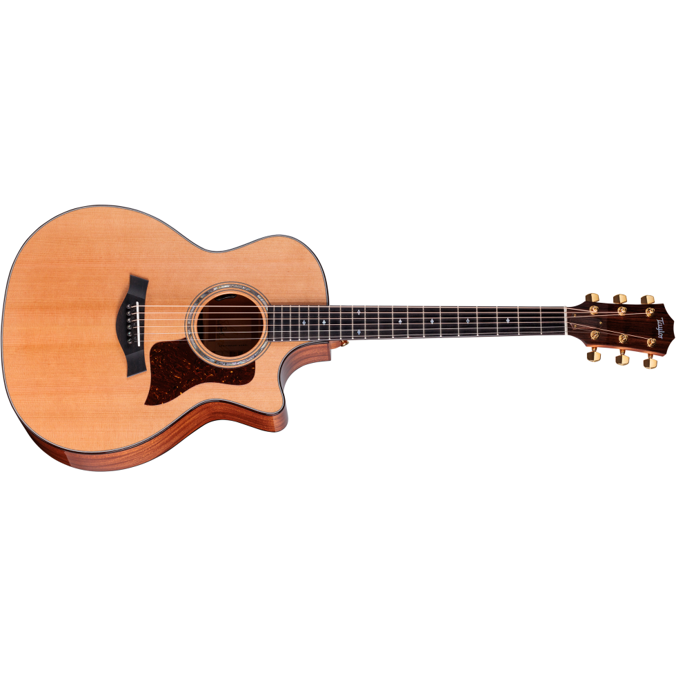 新作グッ Taylor-514ce-Legacy-1204194123 ギター
