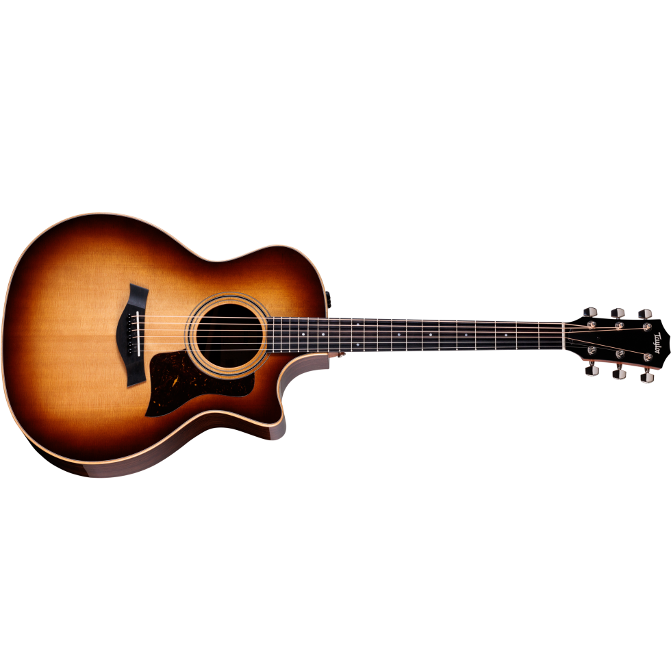 Taylor-414ce-Studio-Special-