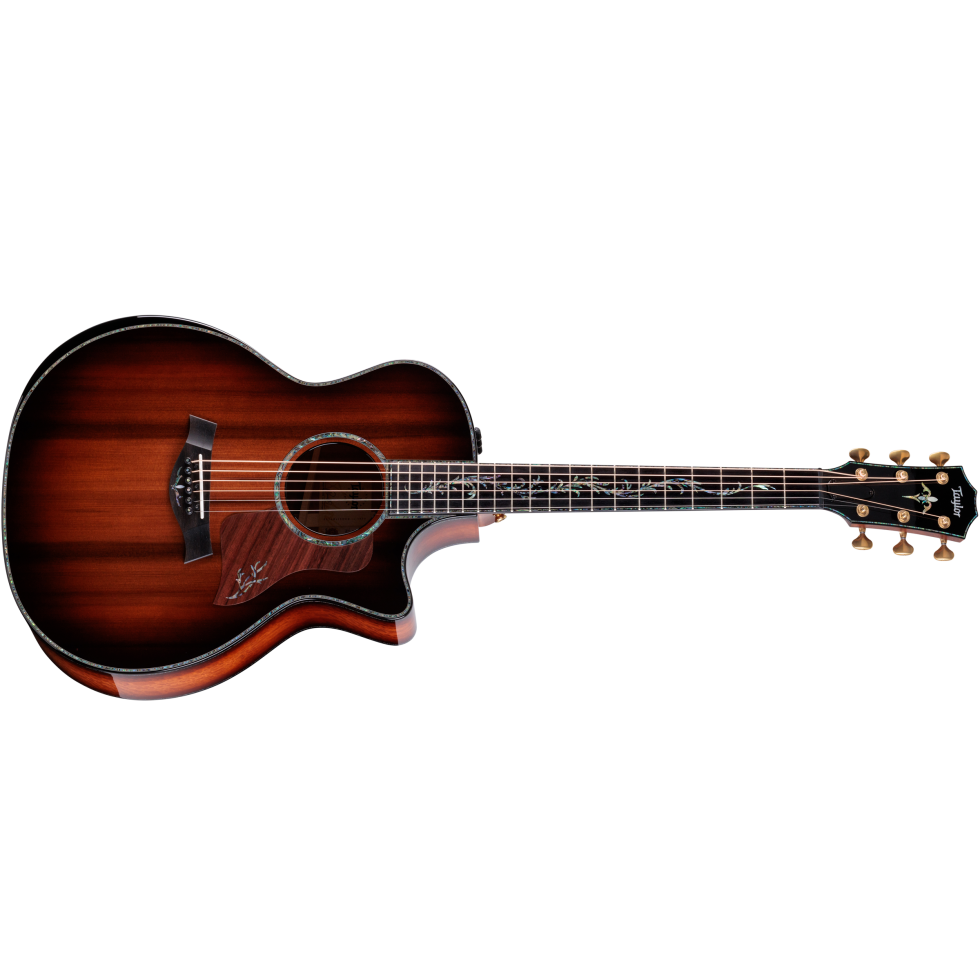 アコースティックギター　Taylor PS14ce Ironbark/Sinker Redwood レッド アイアンバーク