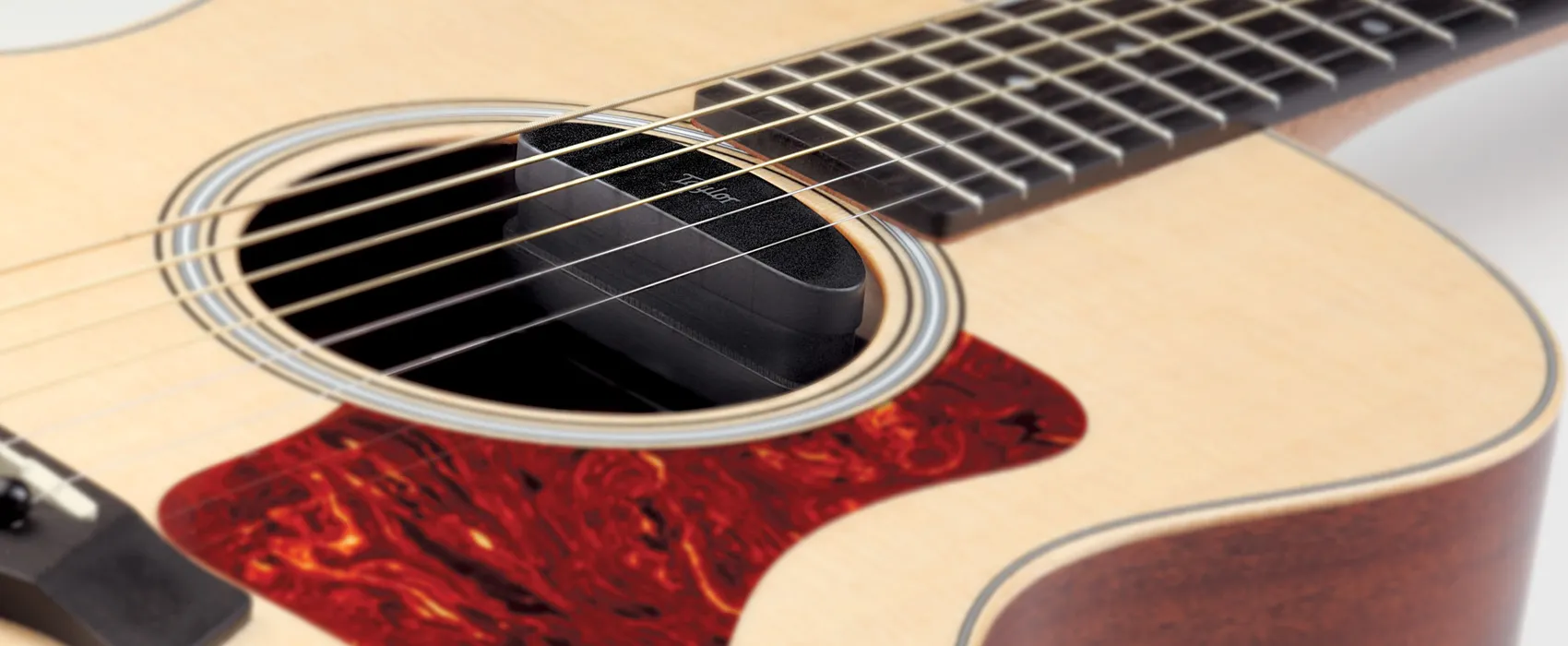 ES-Go | Taylor Guitars