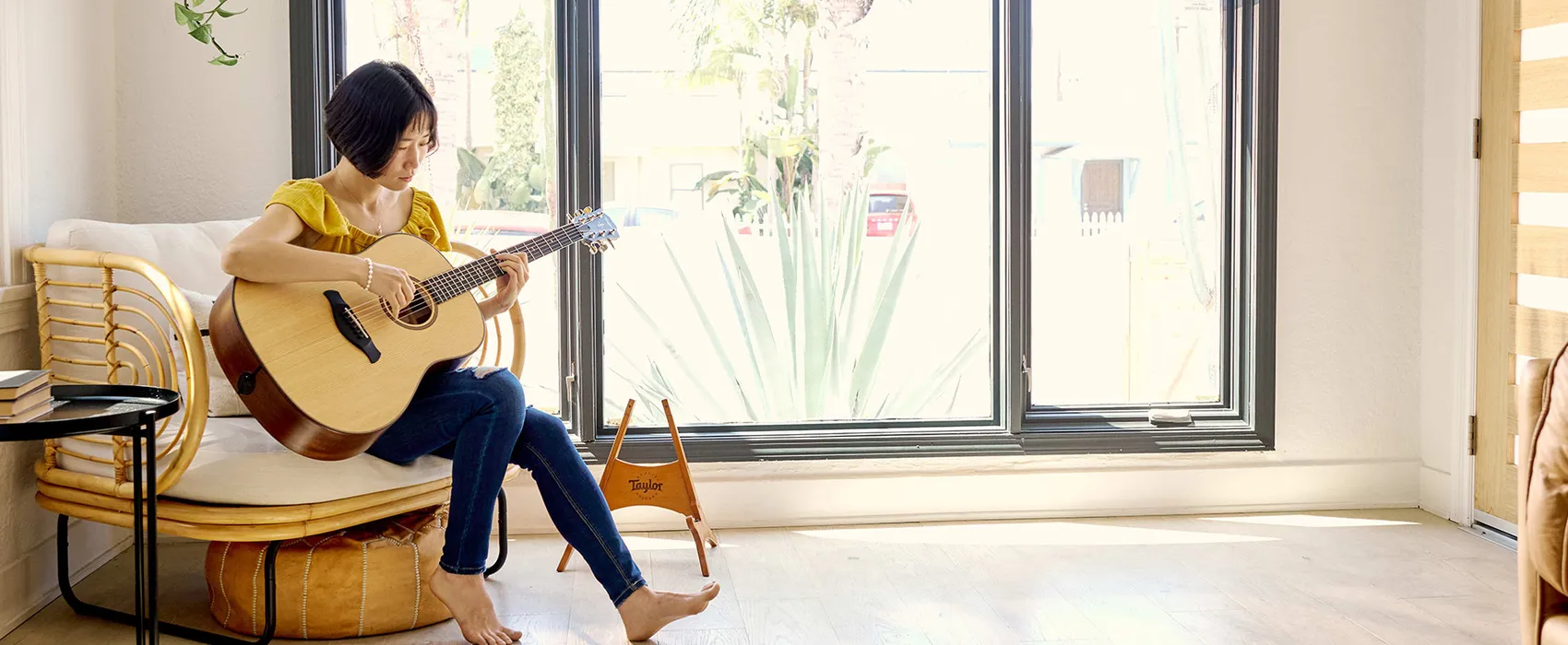 Taylor Guitars Japan