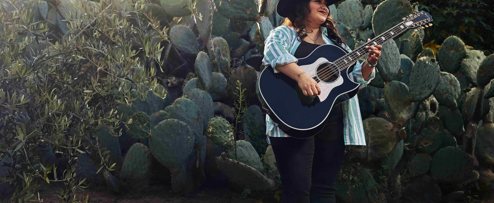 600 series Bajo Quinto