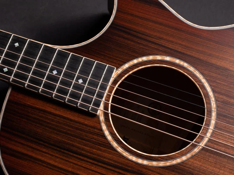 Taylor Customs Program