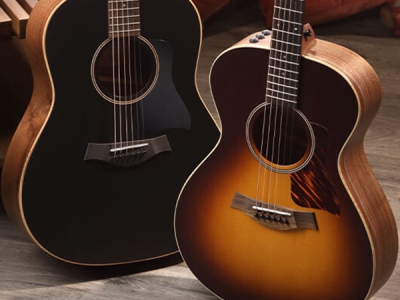 Taylor Guitars | Shop Guitars & Accessories