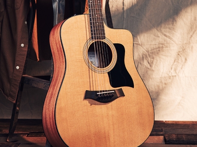 Taylor Guitars | Shop Guitars & Accessories