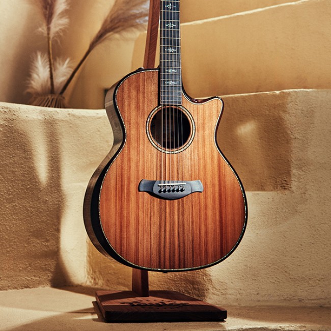 Taylor Guitars | Shop Guitars & Accessories