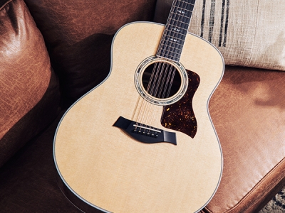 Home | Taylor Guitars