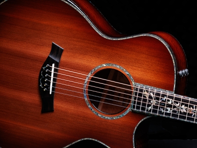 Taylor Guitars | Shop Guitars & Accessories