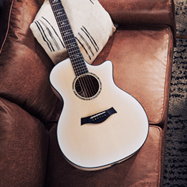 Taylor Guitars | Shop Guitars & Accessories